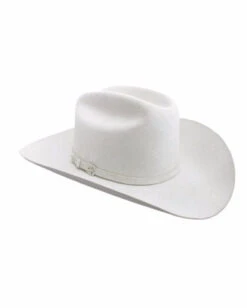 Stetsons 6X Monarca Felt Hat