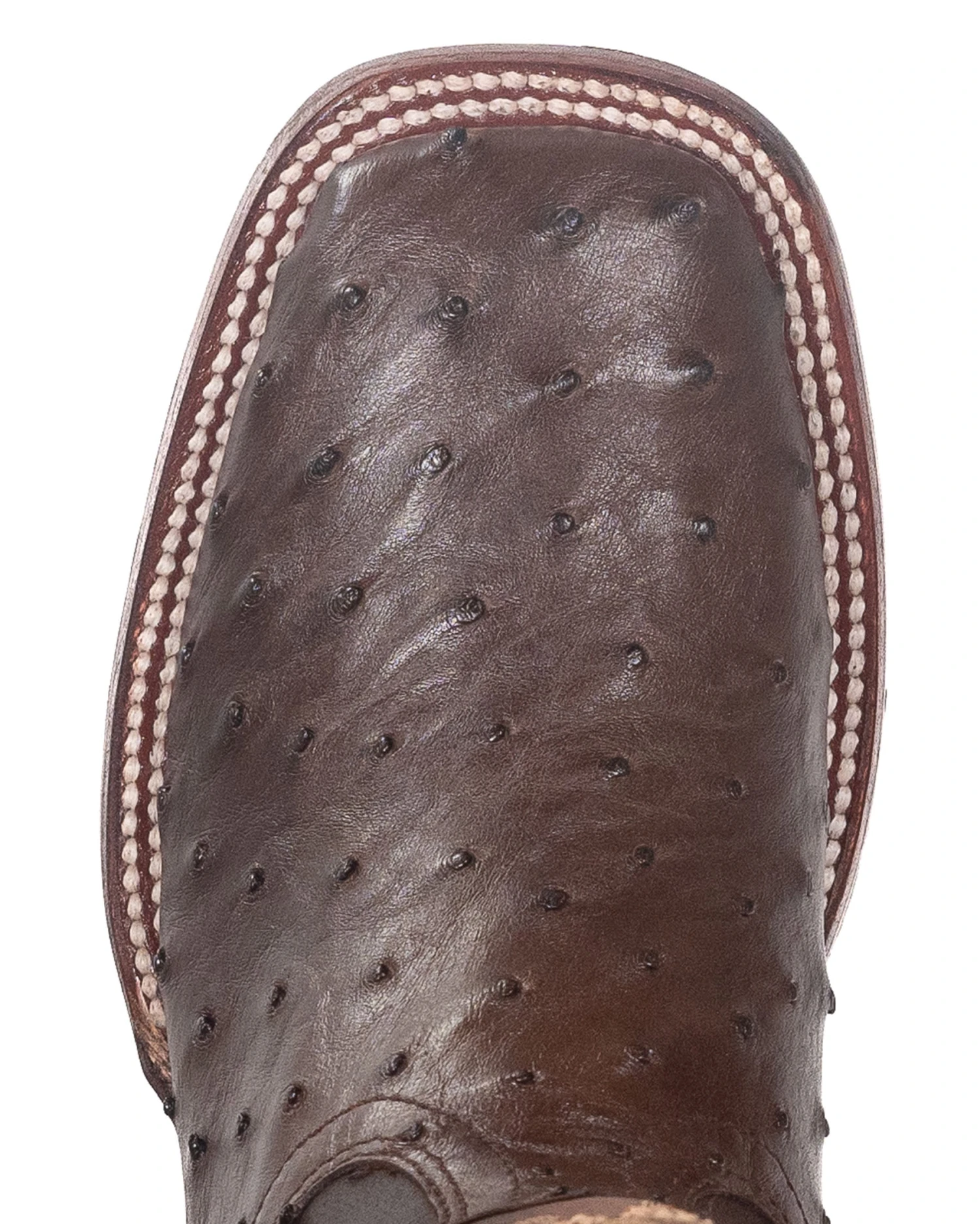 Women's Sofia Western Boots 9 Women's Sofia Western Boots - Image 7