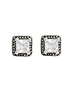 Montana Silversmiths Women's Studded Stone Earrings