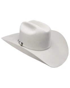 RESISTOL Remuda 6X Fur Felt Hat