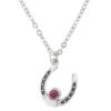 Montana Silversmiths Women's Sterling Lane Birthstone Horseshoe Necklace -Ladies Western Cowboy Shop Untitled 4 0006 Layer19