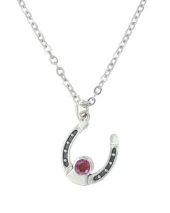 Montana Silversmiths Women's Sterling Lane Birthstone Horseshoe Necklace
